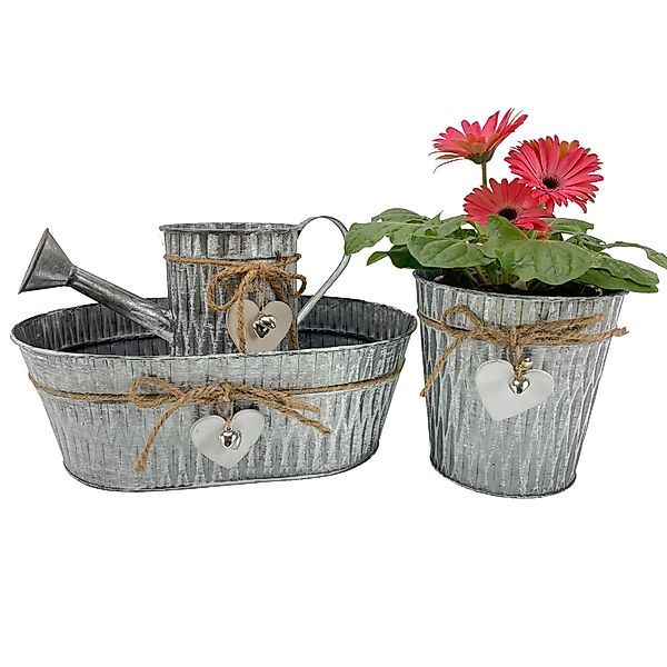 Online-Fuchs Blumentopf 3er Set mit Herz günstig online kaufen