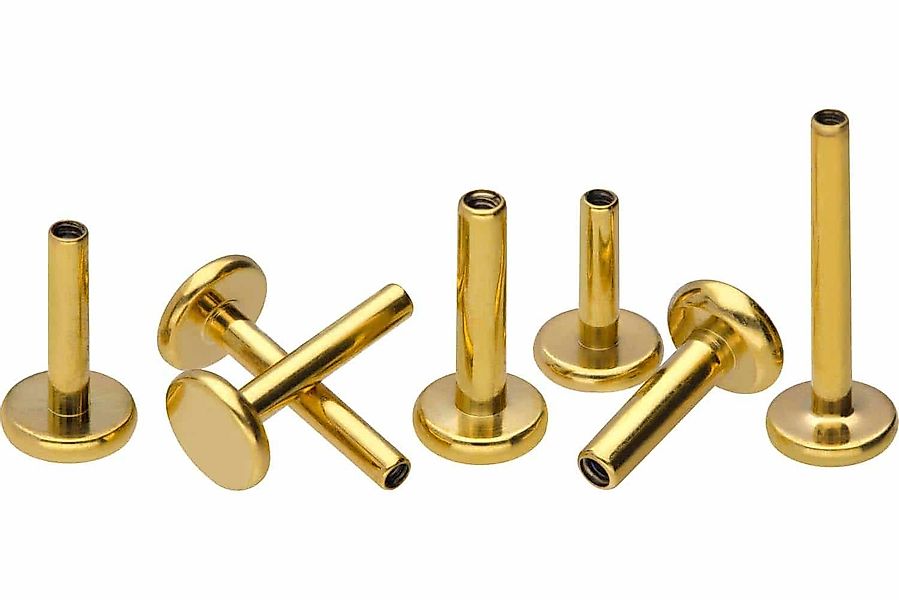 PIERCINGLINE Piercing-Set Titan Labret mit Innengewinde günstig online kaufen