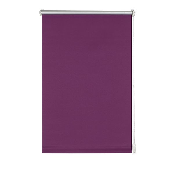 Seitenzugrollo EASYFIX Rollo Thermo ENERGIESPAREND, GARDINIA, verdunkelnd, günstig online kaufen