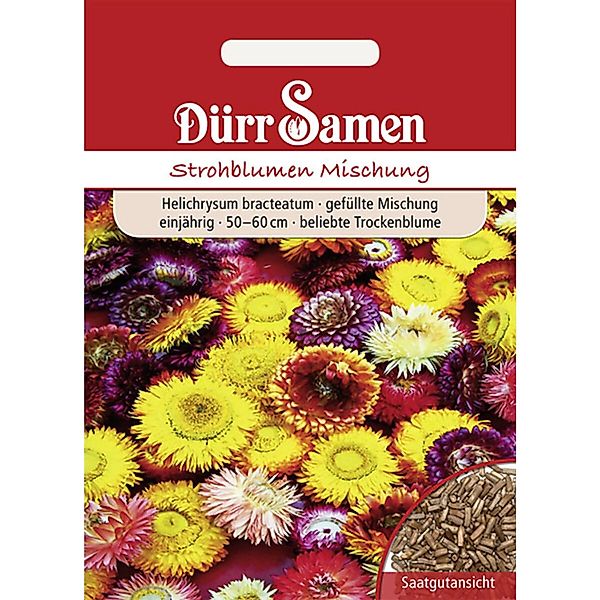 Dürr Samen Strohblume Gefüllte Mischung Einjährig Saatgut günstig online kaufen