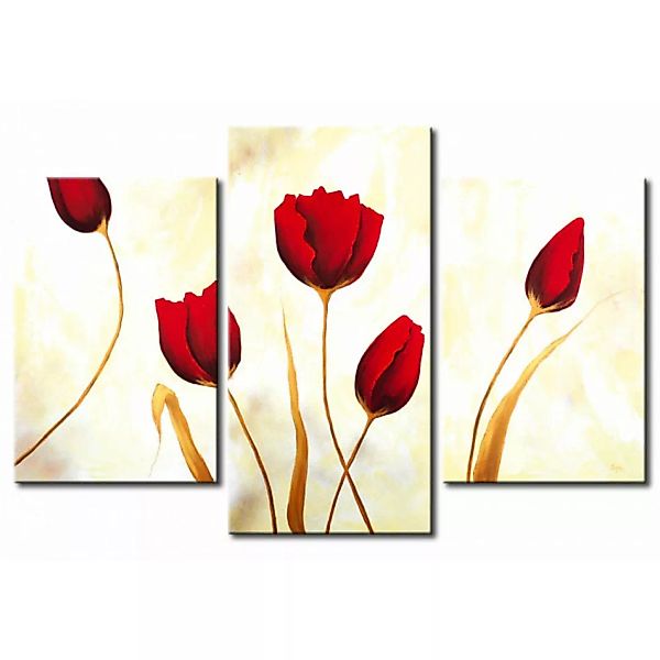 Bild auf Leinwand Rote Tulpen auf weißem Hintergrund  XXL günstig online kaufen