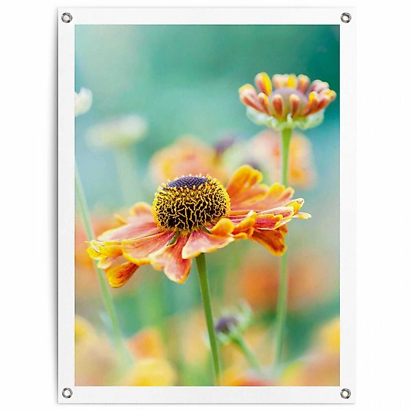 Reinders Poster "Blume", Outdoor für Garten oder Balkon günstig online kaufen