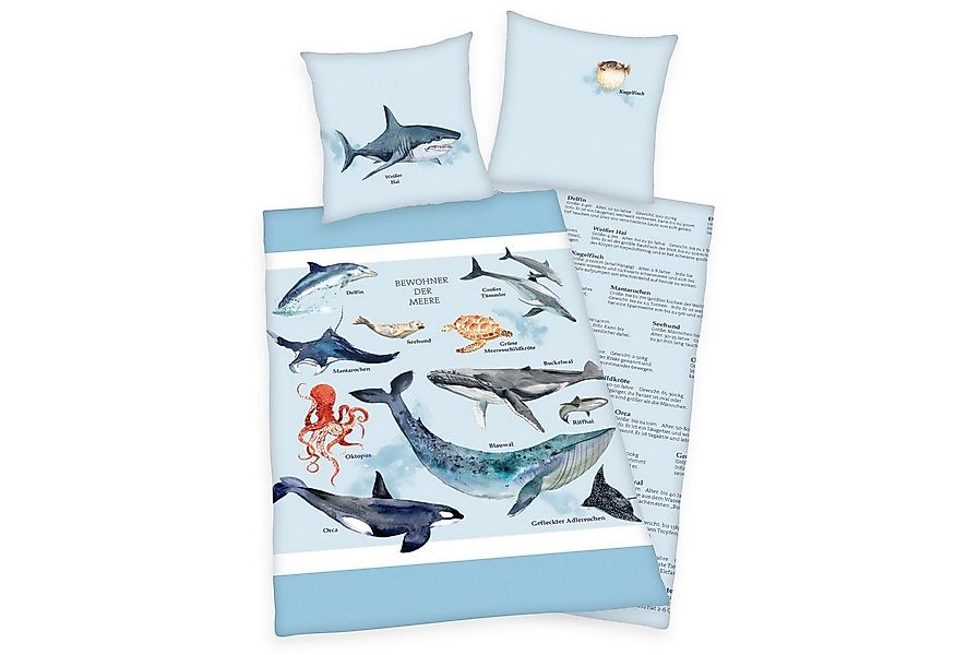 Herding Kinderbettwäsche Bewohner der Meere Wende Bettwäsche 80 x 80 cm + 1 günstig online kaufen
