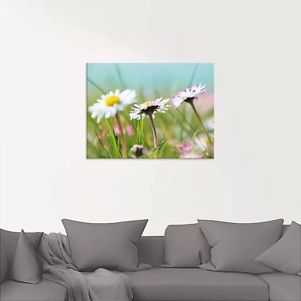 Artland Glasbild "Gänseblümchen Romantik", Blumen, (1 St.), in verschiedene günstig online kaufen