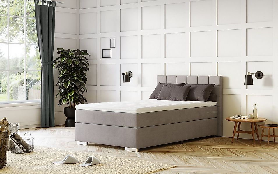 COTTA Boxspringbett Simba, Topseller! wahlweise mit oder ohne Matratze und günstig online kaufen