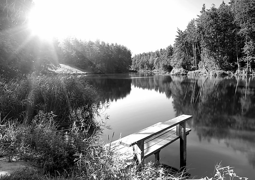 Papermoon Fototapete "Wald mir Fluss Schwarz & Weiß" günstig online kaufen
