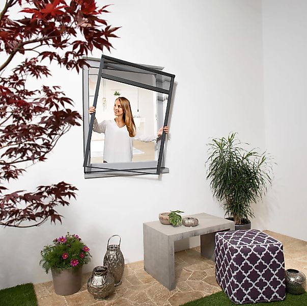 Windhager Insektenschutzrollo transparent Insektenschutz BxH: 130x160 cm günstig online kaufen