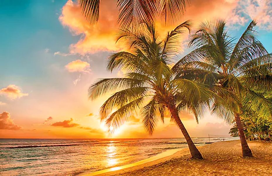 Papermoon Fototapete »Barbados Palm Beach« glatt günstig online kaufen
