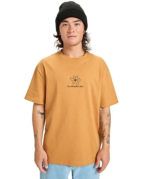 Quiksilver T-Shirt "Cl Skipping Stones" günstig online kaufen
