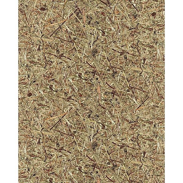 WALLFACE AL-11001 ALPINE PURE Selbstklebende Tapete Almwiesen-Dekor Braun 4 günstig online kaufen