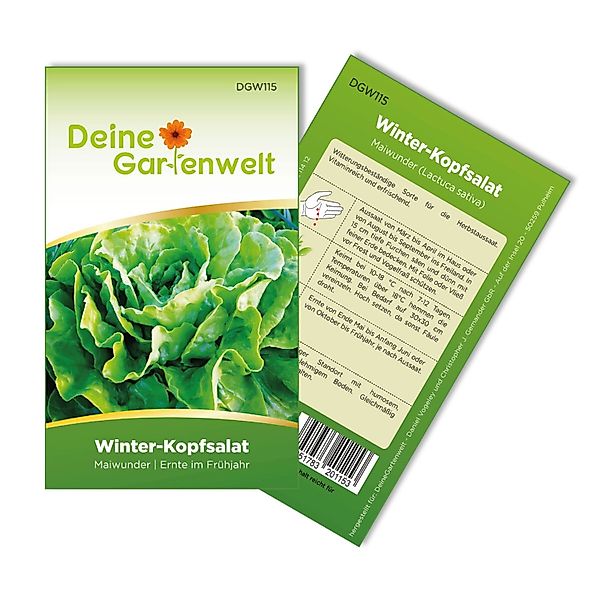 Deine Gartenwelt Winter-Kopfsalat Maiwunder Samen günstig online kaufen