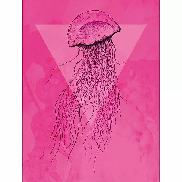 Komar Wandbild Jellyfish Pink 30 x 40 cm günstig online kaufen