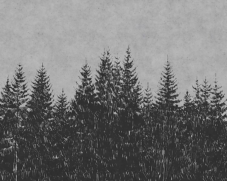 Fototapete "Wald-Skizze" 4,00x2,70 m / Strukturvlies Klassik günstig online kaufen