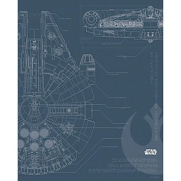 Komar Wandbild Star Wars Falcon 40 x 50 cm günstig online kaufen