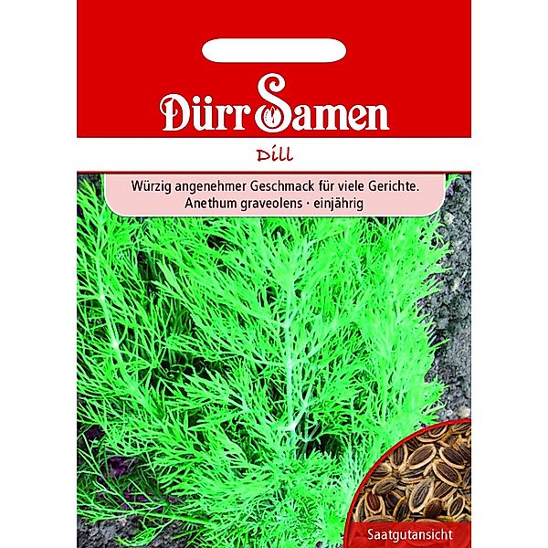 Dürr Samen Dill Blattreicher Saatgut günstig online kaufen