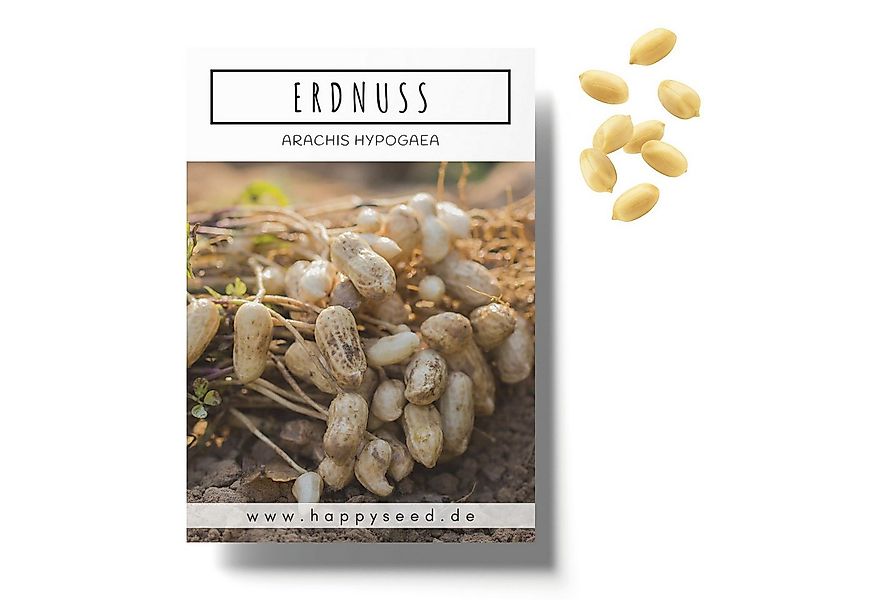 HappySeed Blumensamen Erdnuss Samen - Arachis hypogeae, Blumen günstig online kaufen