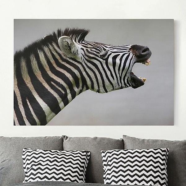 Leinwandbild - Querformat Brüllendes Zebra günstig online kaufen