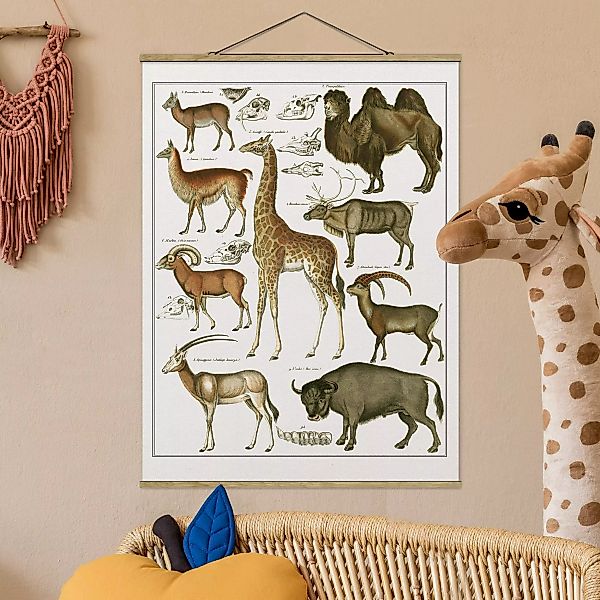 Stoffbild Tiere mit Posterleisten - Hochformat Vintage Lehrtafel Giraffe, K günstig online kaufen