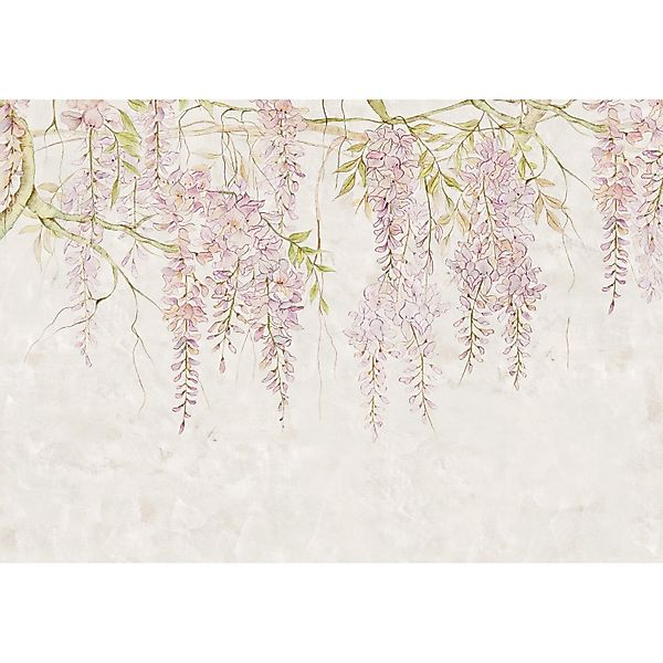 Komar Fototapete Vlies Wisteria  400 x 280 cm günstig online kaufen