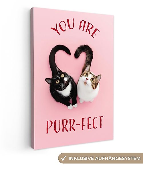 OneMillionCanvasses® Leinwandbild Katze - Herz - günstig online kaufen