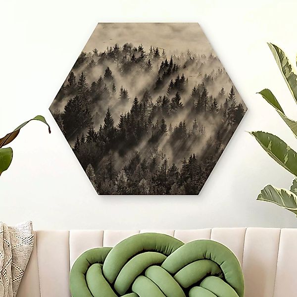 Hexagon-Holzbild Lichtstrahlen im Nadelwald günstig online kaufen