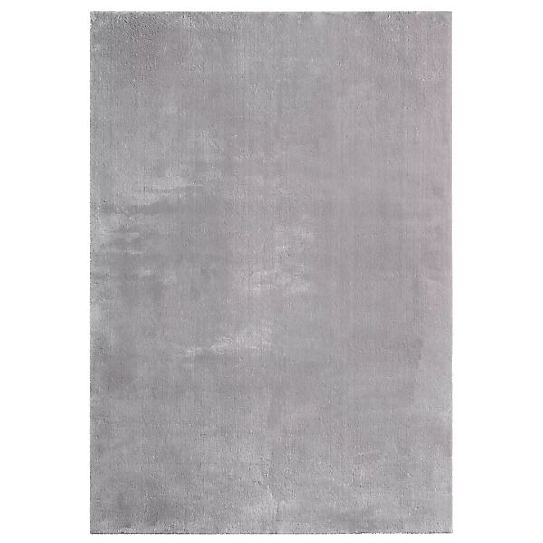 Teppich Loft grau B/L: ca. 80x150 cm günstig online kaufen