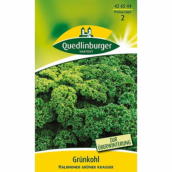 Quedlinburger Grünkohl ''Halbhoher grüner krauser'' günstig online kaufen