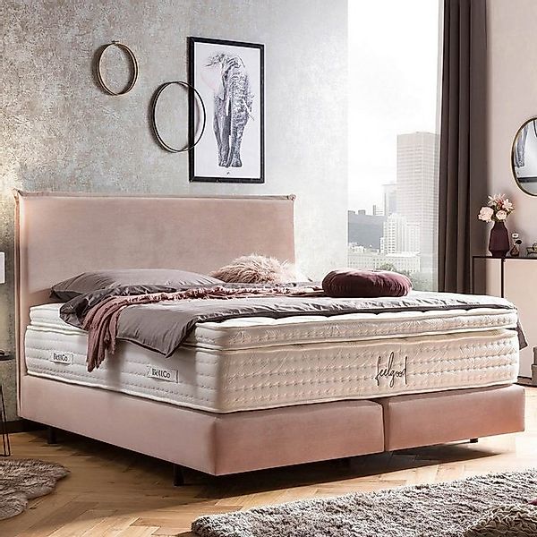 BettCo Boxspringbett London (160 x 200 cm, in Rose Samt), Kopfteil mit Bies günstig online kaufen