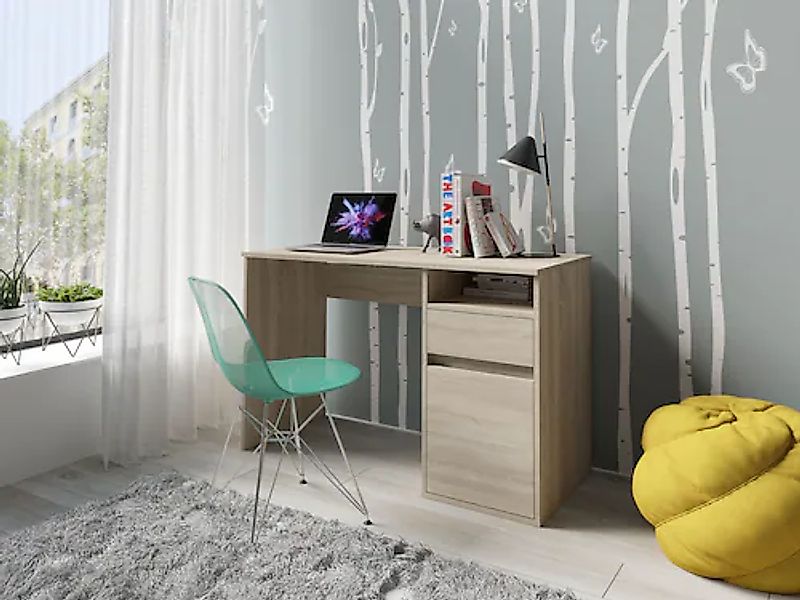 Home affaire Schreibtisch »Tinsley« mit Schublade, und Tür, Breite 120 x53 günstig online kaufen