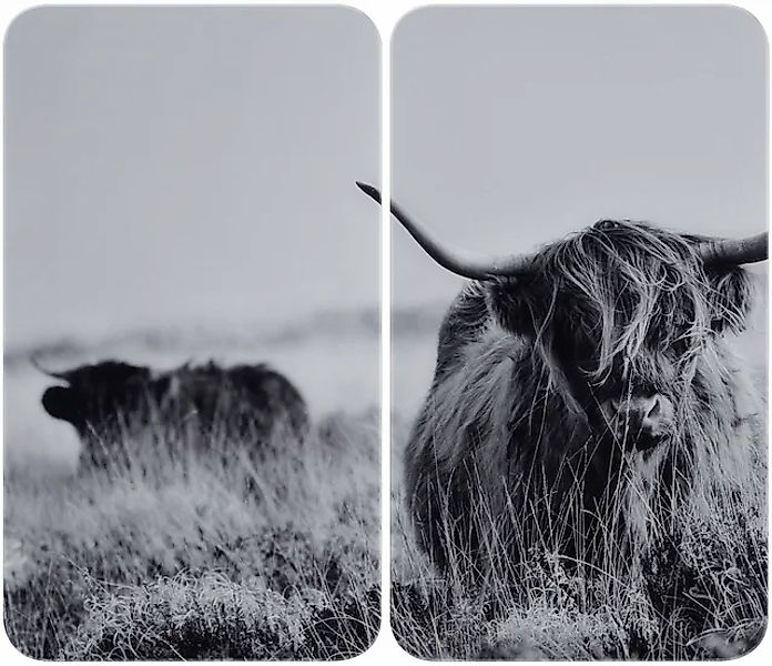 WENKO Herd-Abdeckplatte »Universal Modell Highland Cattle« Herdabdeckung fü günstig online kaufen