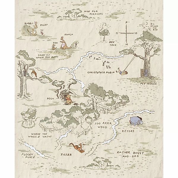 Komar Vliesfototapete Winnie Pooh Map 200 cm x 240 cm günstig online kaufen