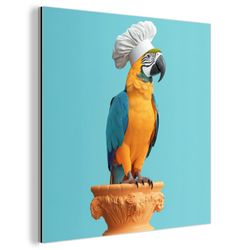 MuchoWow Metallbild Papagei - Kochmütze - günstig online kaufen