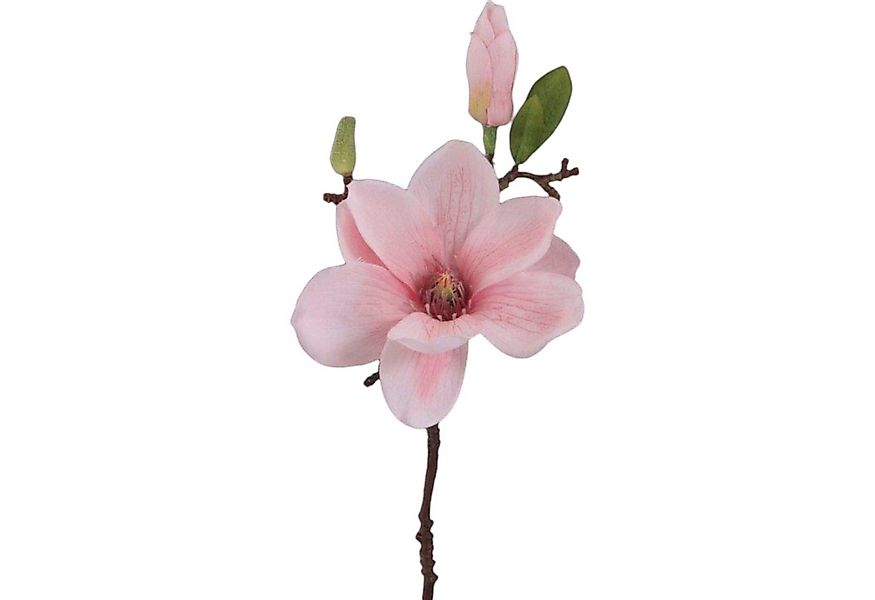 Kunstblume Kunstblume MAGNOLIE 37cm. Mit Magnolienblüte und Knospe., Gasper günstig online kaufen