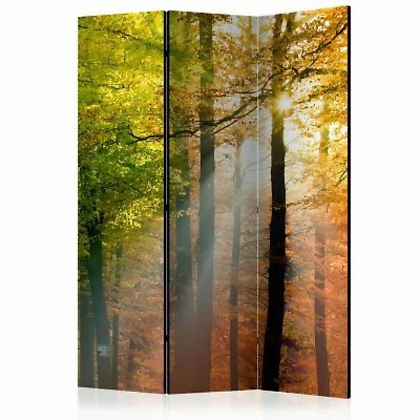 artgeist Paravent Forest Colours [Room Dividers] mehrfarbig Gr. 135 x 172 günstig online kaufen