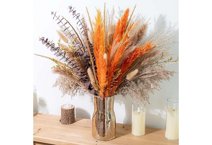 Trockenblume Natürliche Pampasgras und Schilf, Herbstdekoration, Coonoor günstig online kaufen