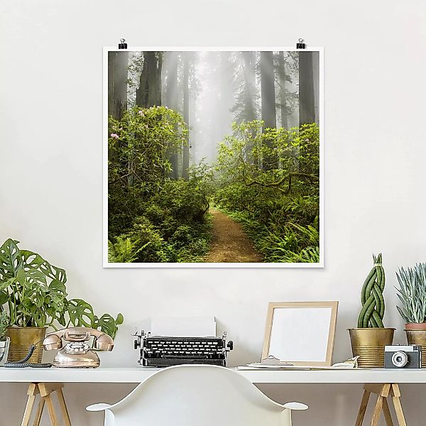 Poster Natur & Landschaft - Quadrat Nebliger Waldpfad günstig online kaufen