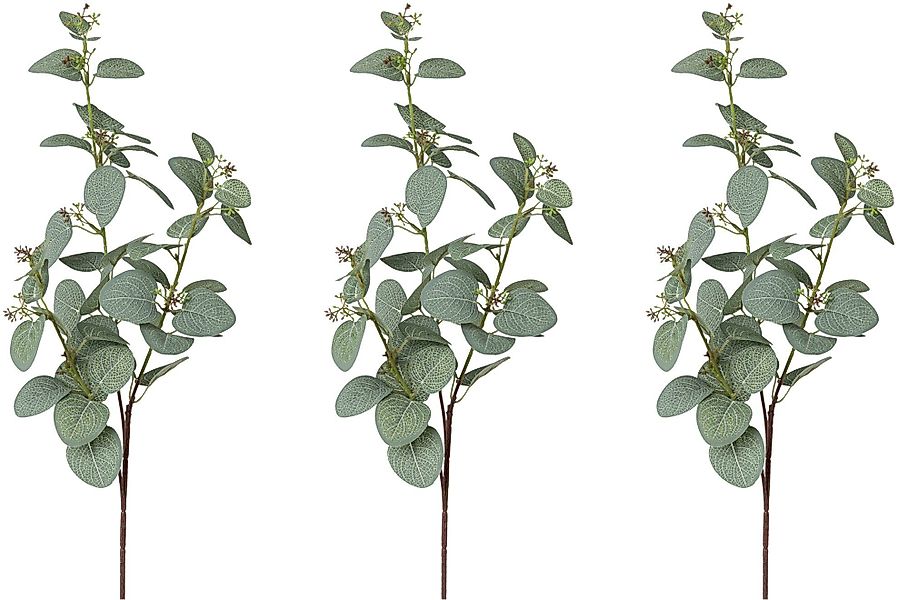 Kunstzweig Eukalyptuszweig Eukalypthus, Creativ green, Höhe günstig online kaufen