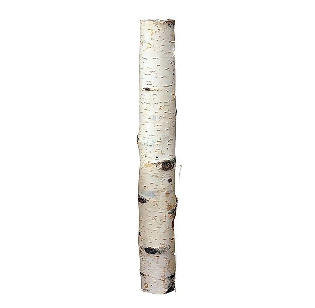 iWerk Dekofigur Birkenholzsticks 100% Natur 40 cm günstig online kaufen