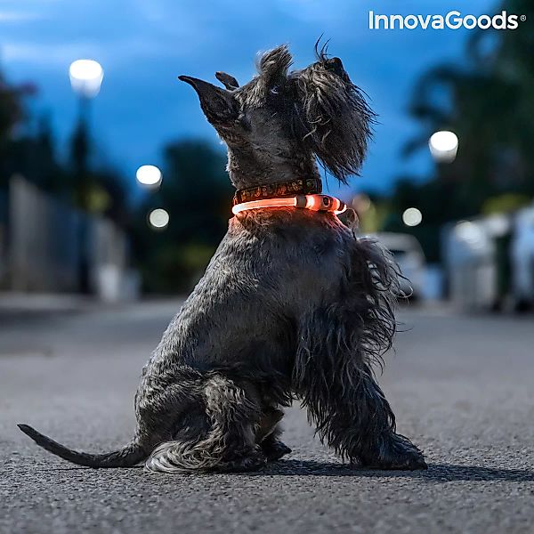 Led-halsband Für Haustiere Petlux Innovagoods günstig online kaufen