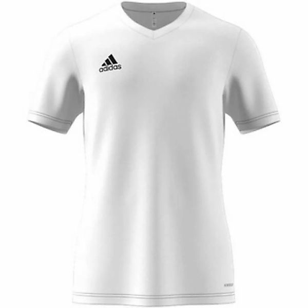 adidas  T-Shirts & Poloshirts - günstig online kaufen