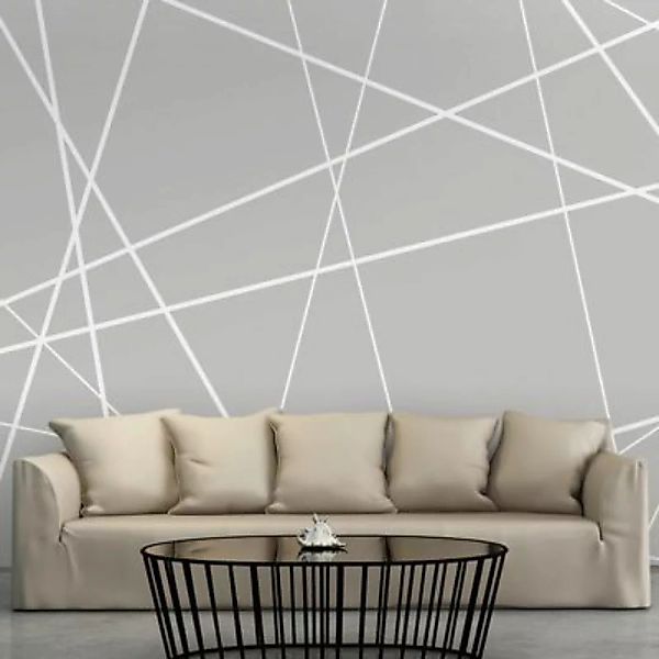 artgeist Fototapete Modern Cobweb weiß/grau Gr. 300 x 210 günstig online kaufen