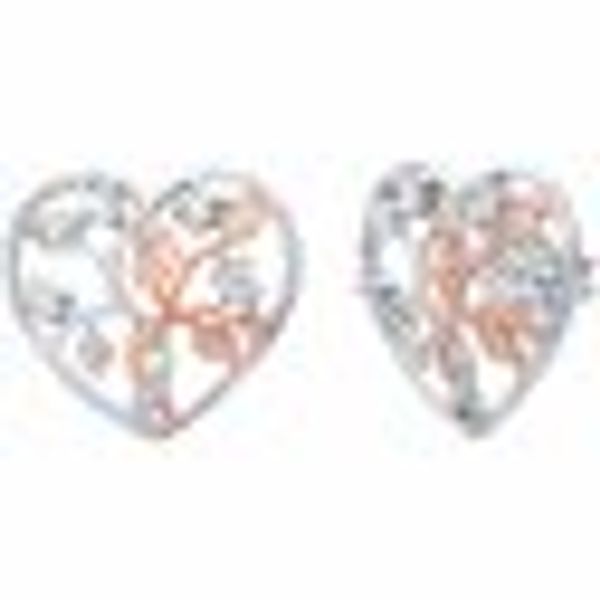 Ohrstecker 925/- Sterling Silber teils rosé vergoldet Zirkonia günstig online kaufen