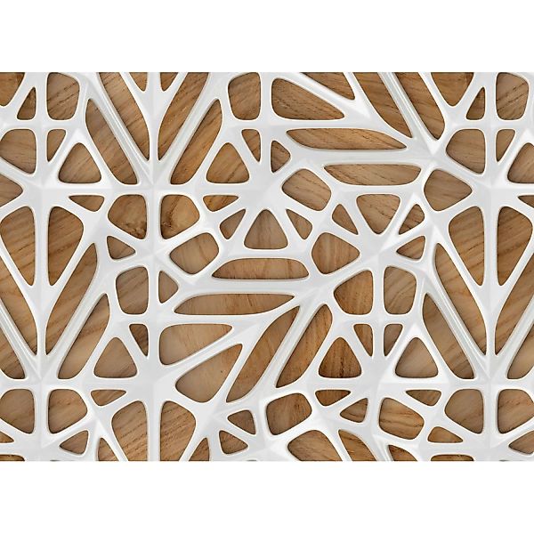 Fototapete Holzoptik Orgnisches Muster Weiß Braun 3,50 m x 2,55 m FSC® günstig online kaufen
