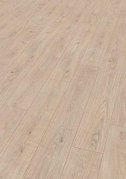 EGGER Laminat EL1000 Berdal Eiche hell, (7mm, 2,494m),Praktisch & wertbestä günstig online kaufen