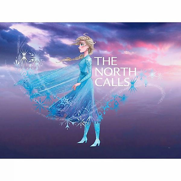 Komar Poster Frozen Elsa The North Calls Disney B/L: ca. 40x30 cm günstig online kaufen