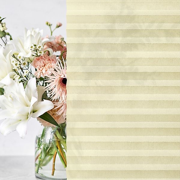 jalousiescout Plissee Pure Plissee, Basic, Polyester-Stoff, günstig online kaufen