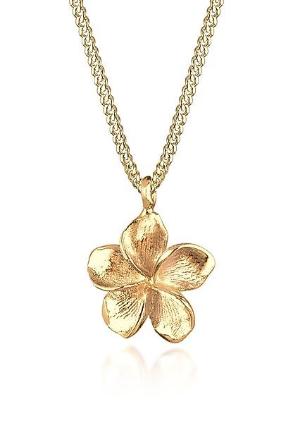 Elli Kette mit Anhänger Frangipani Blüte günstig online kaufen