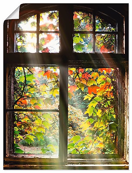 Artland Wandbild "Altbau" Fenster & Türen 1 Stk. tlg. als Alubild, Outdoorb günstig online kaufen