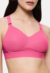 triaction by Triumph Sport-BH Hybrid Lite günstig online kaufen