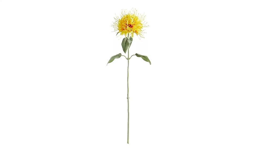 Kunstblume Monarda ¦ gelb ¦ Kunststoff Accessoires > Kunstblumen - Höffner günstig online kaufen